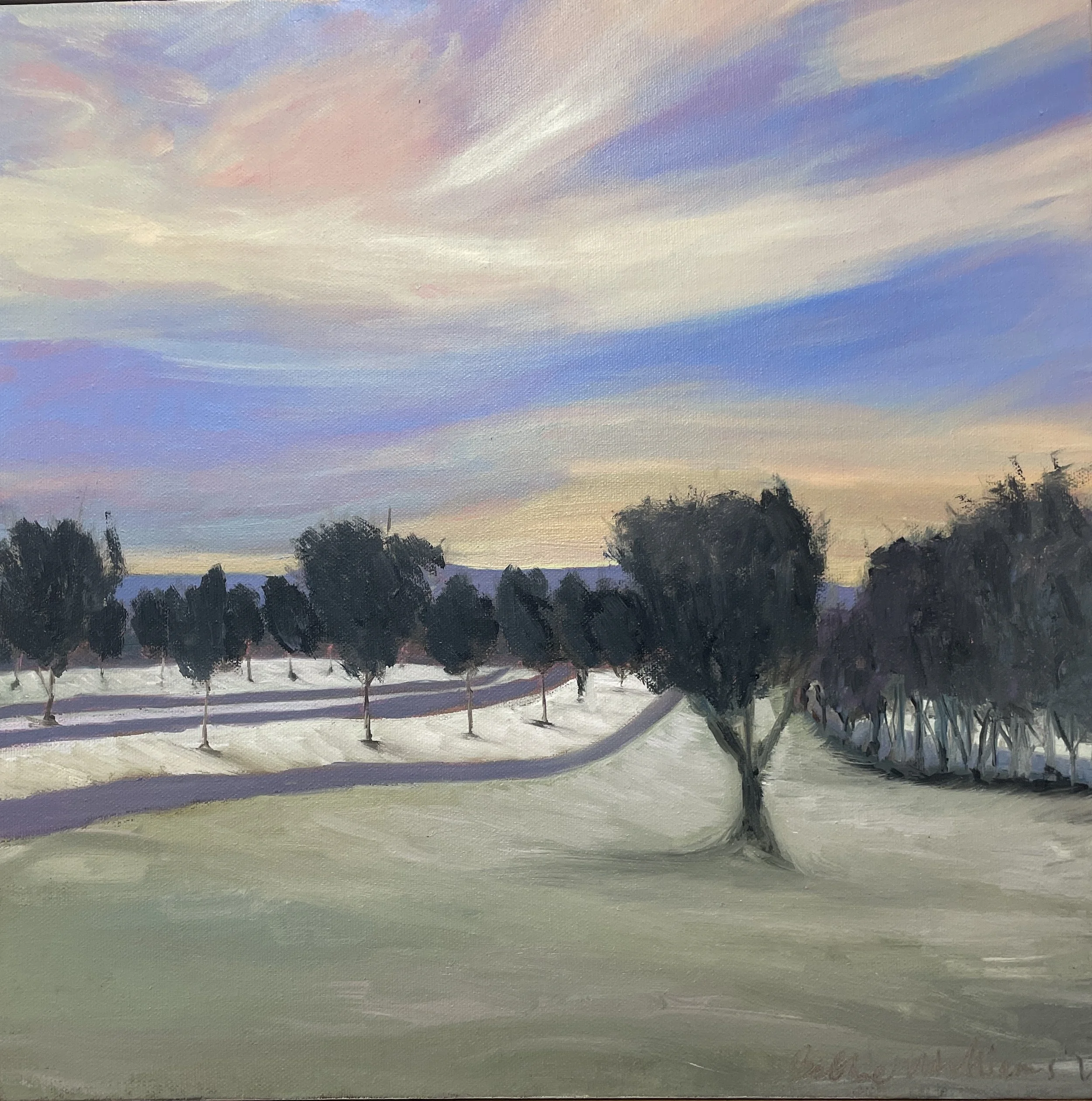 Frosty grass Yarra Glen 2