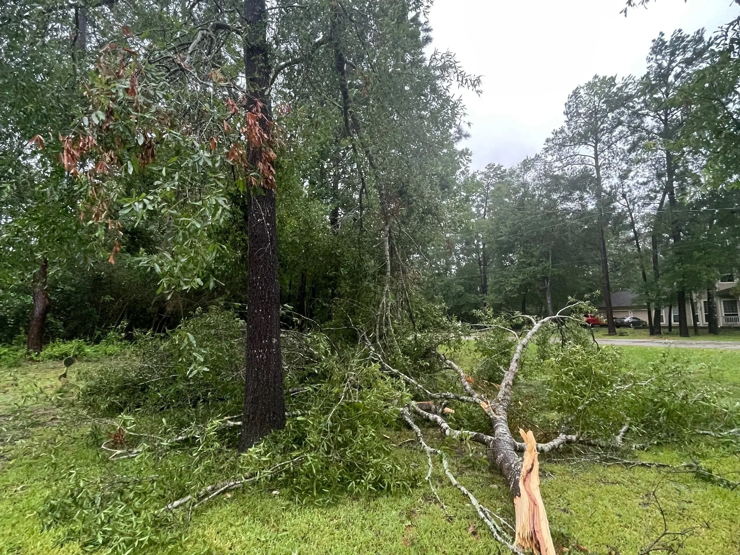 Hurricane Season Is Here