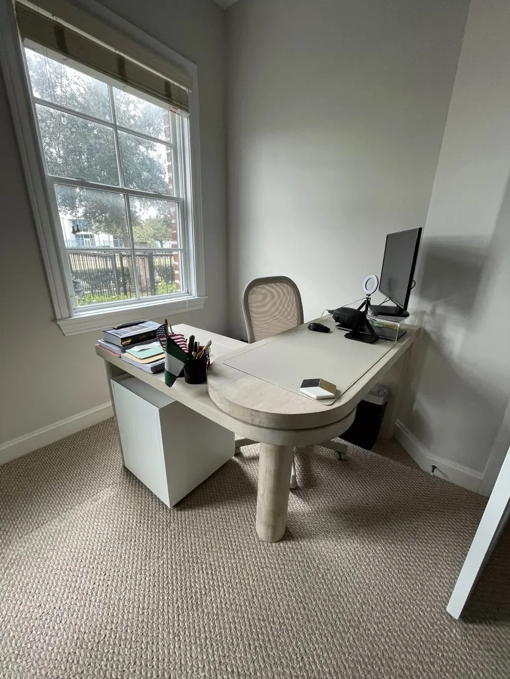 Professional Organizer
