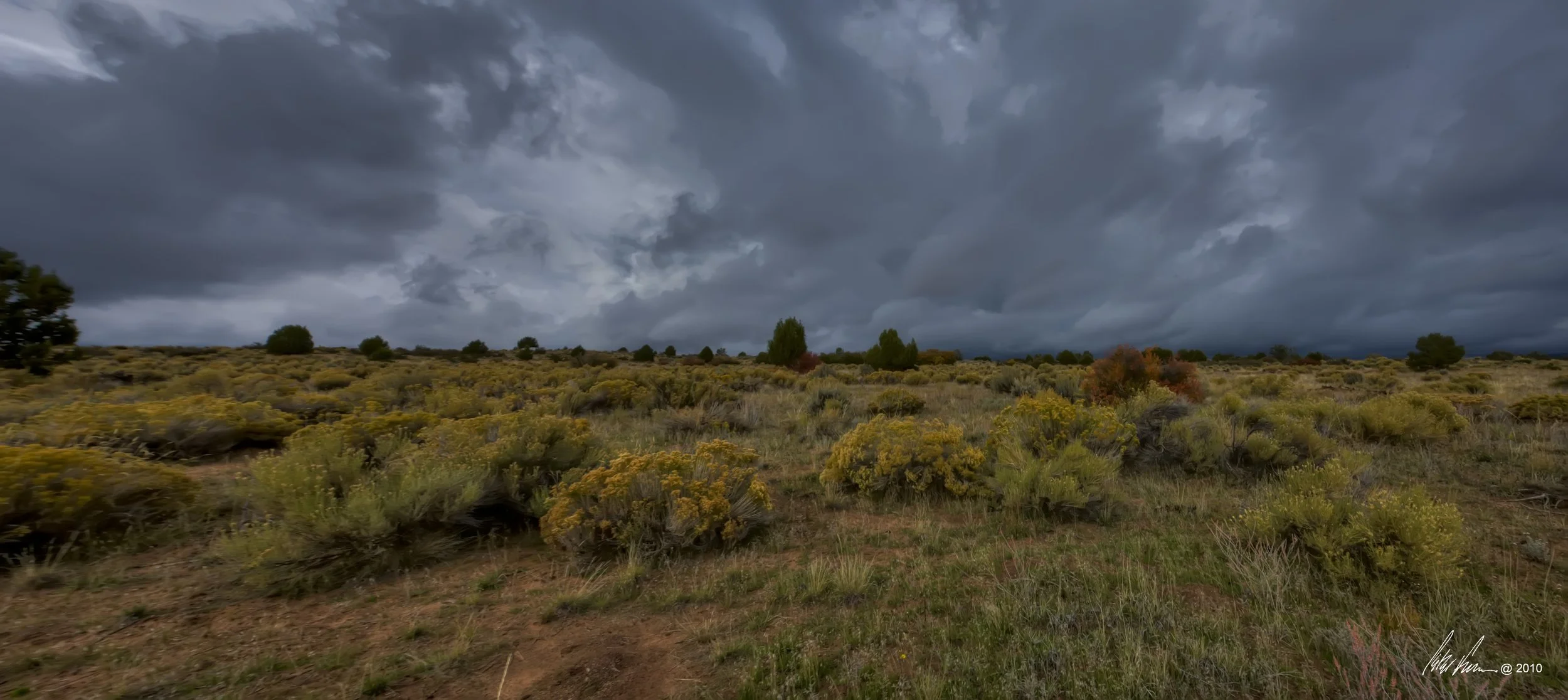 Untitled_Panorama2_signed.jpg