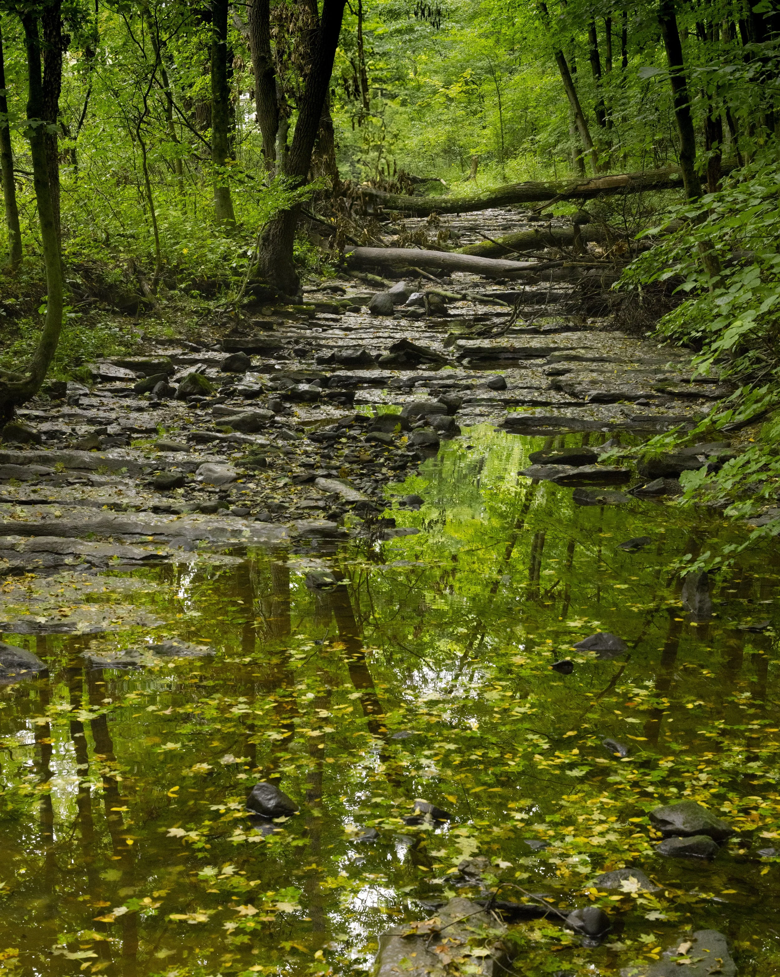 Hells Hollow Landscape-8201.jpg