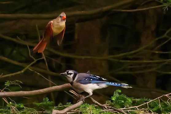 House PicturesJuly 24, 2023-46.jpeg