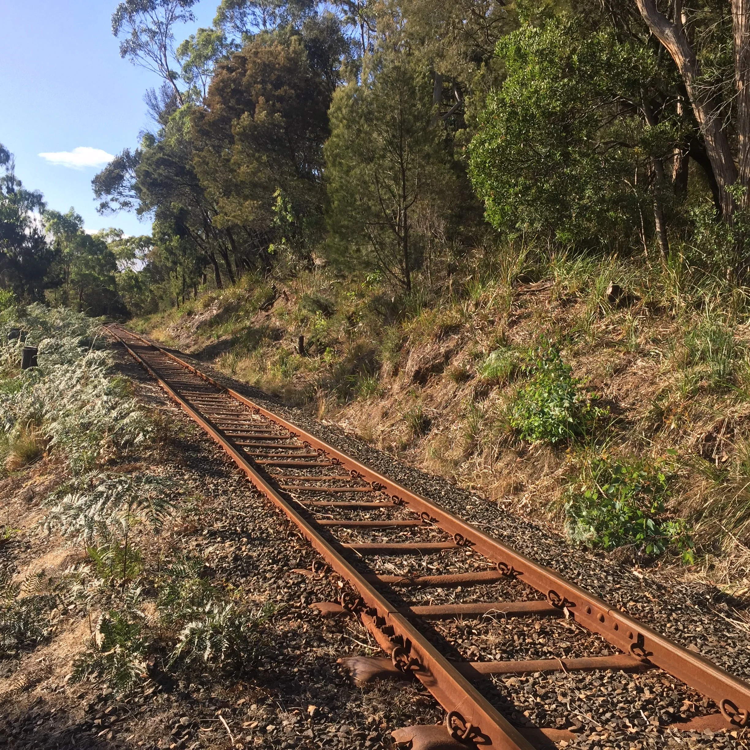 John Holland CRN - Restructure & operational excellence project. Sydney, Dubbo and regional NSW