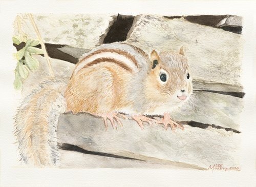 Chipmunk Sam | Lee Moretz Art