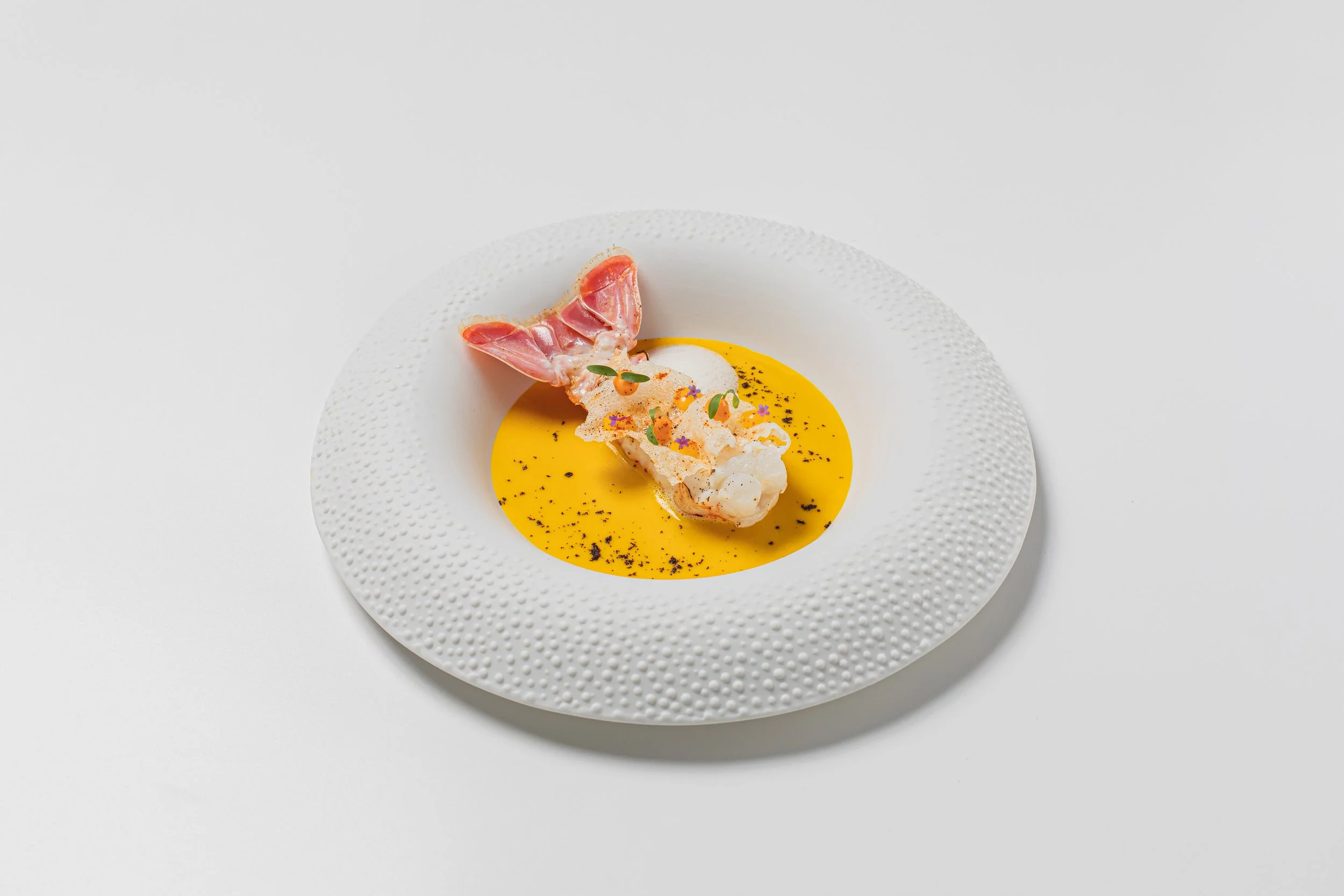 COSTA BRAVA LANGOUSTINE