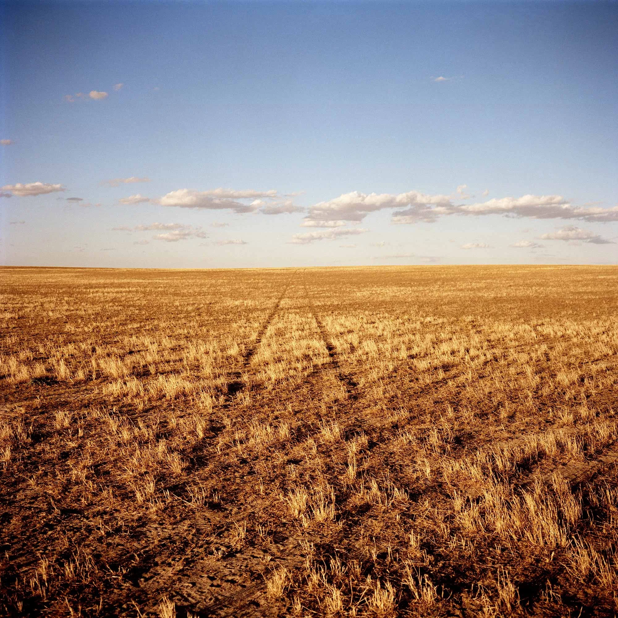 Silence by Brad Rimmer | Brad Rimmer Australian contemporary art ...