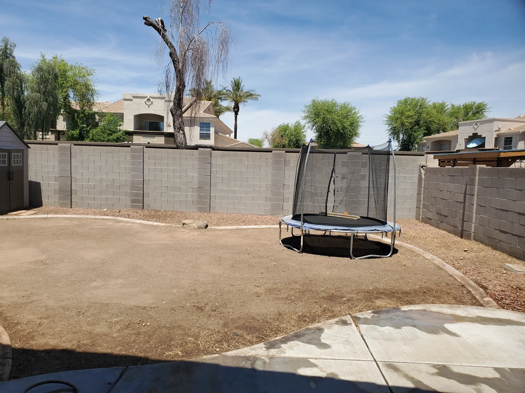 landscape cleanup 2.webp
