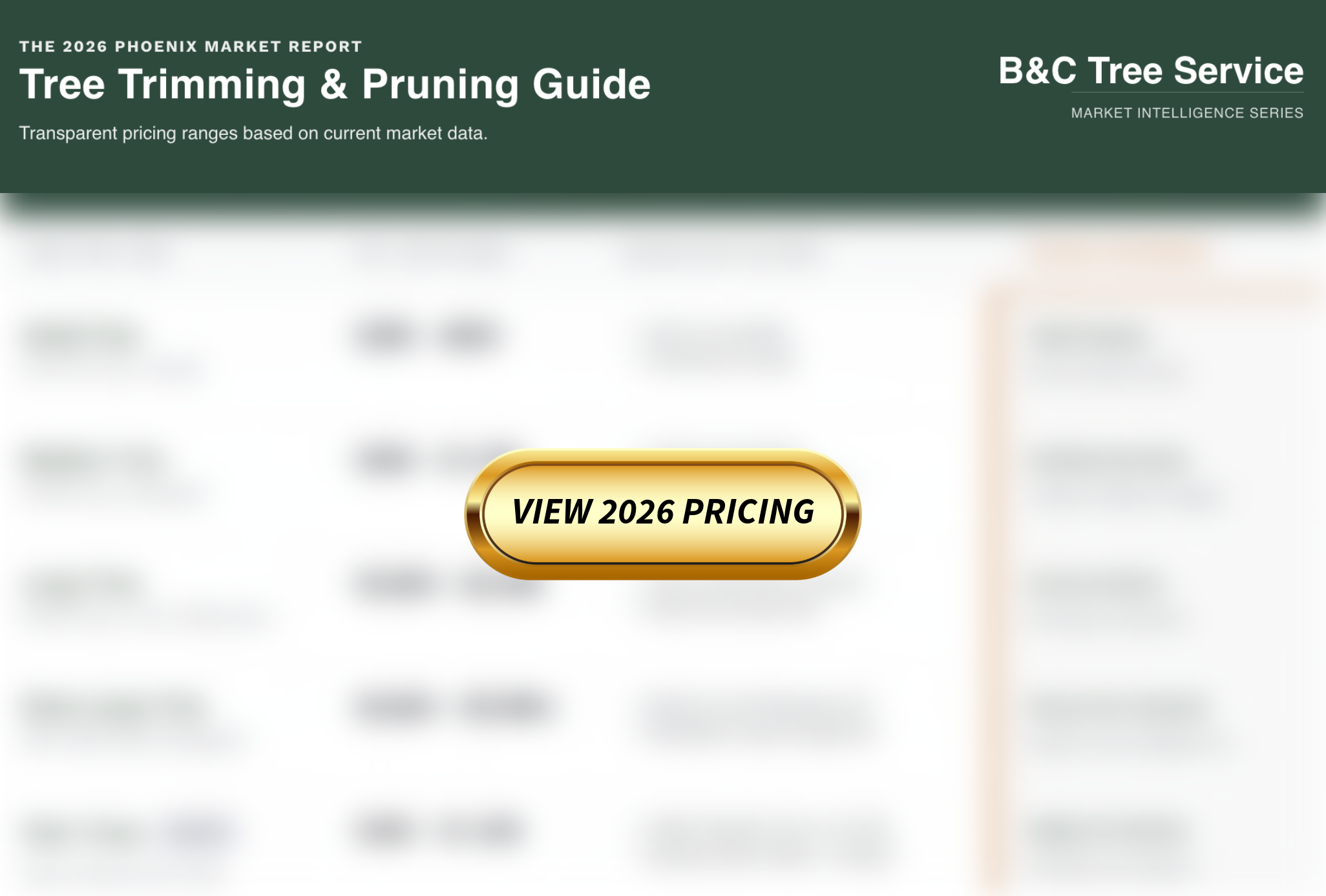 How Much Does Tree Trimming Cost in Phoenix? (The 2026 Guide)