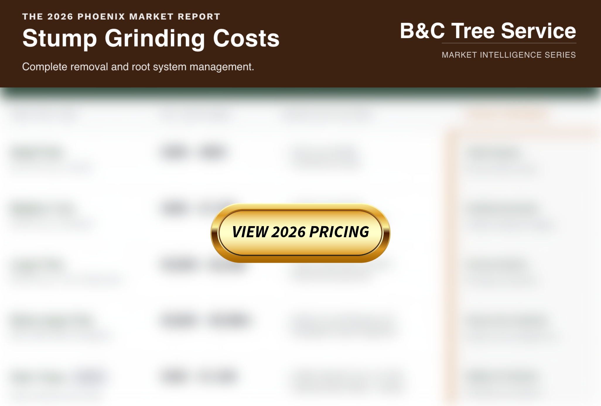 How Much Does Stump Grinding Cost in Phoenix? (The 2026 Guide)