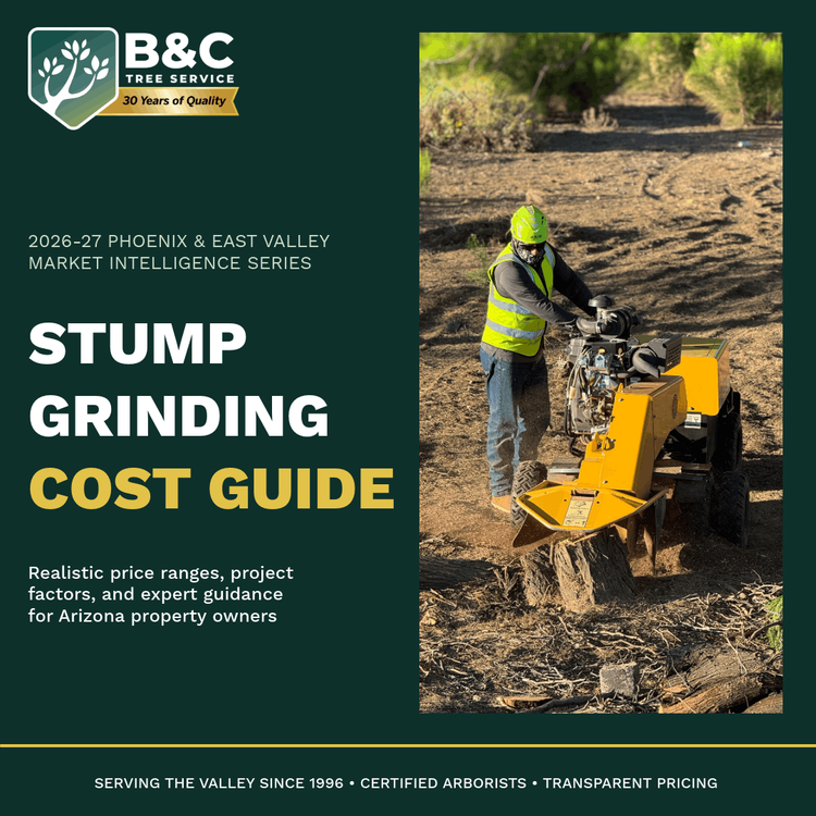 2026 B&C Stump Grinding Cost Guide cover