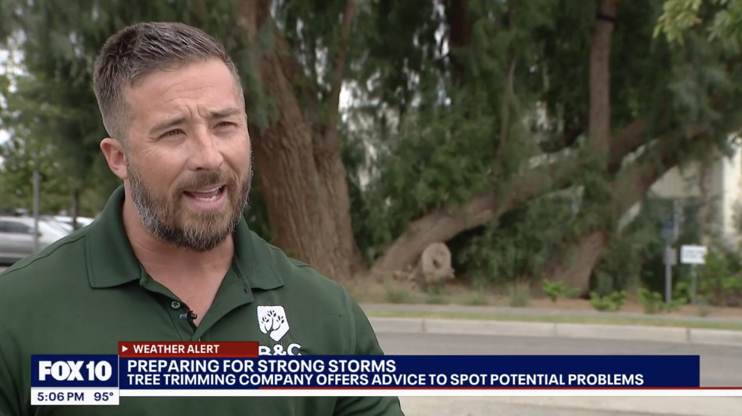 B&amp;C Tree Service Featured on FOX 10 for Monsoon Tree Care