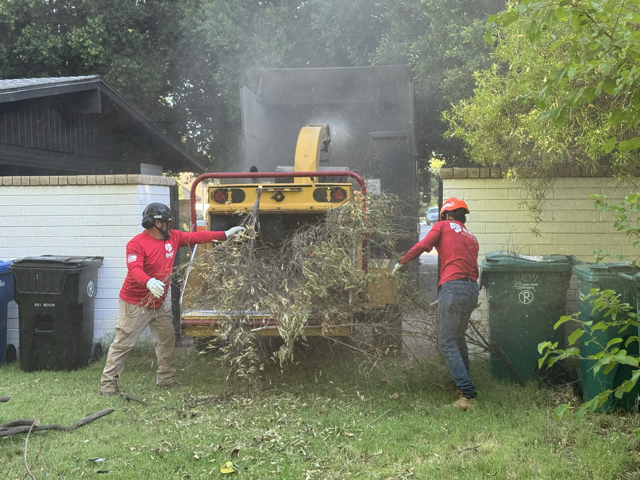About B&C Tree Service | Serving Phoenix & East Valley — B & C Tree Service