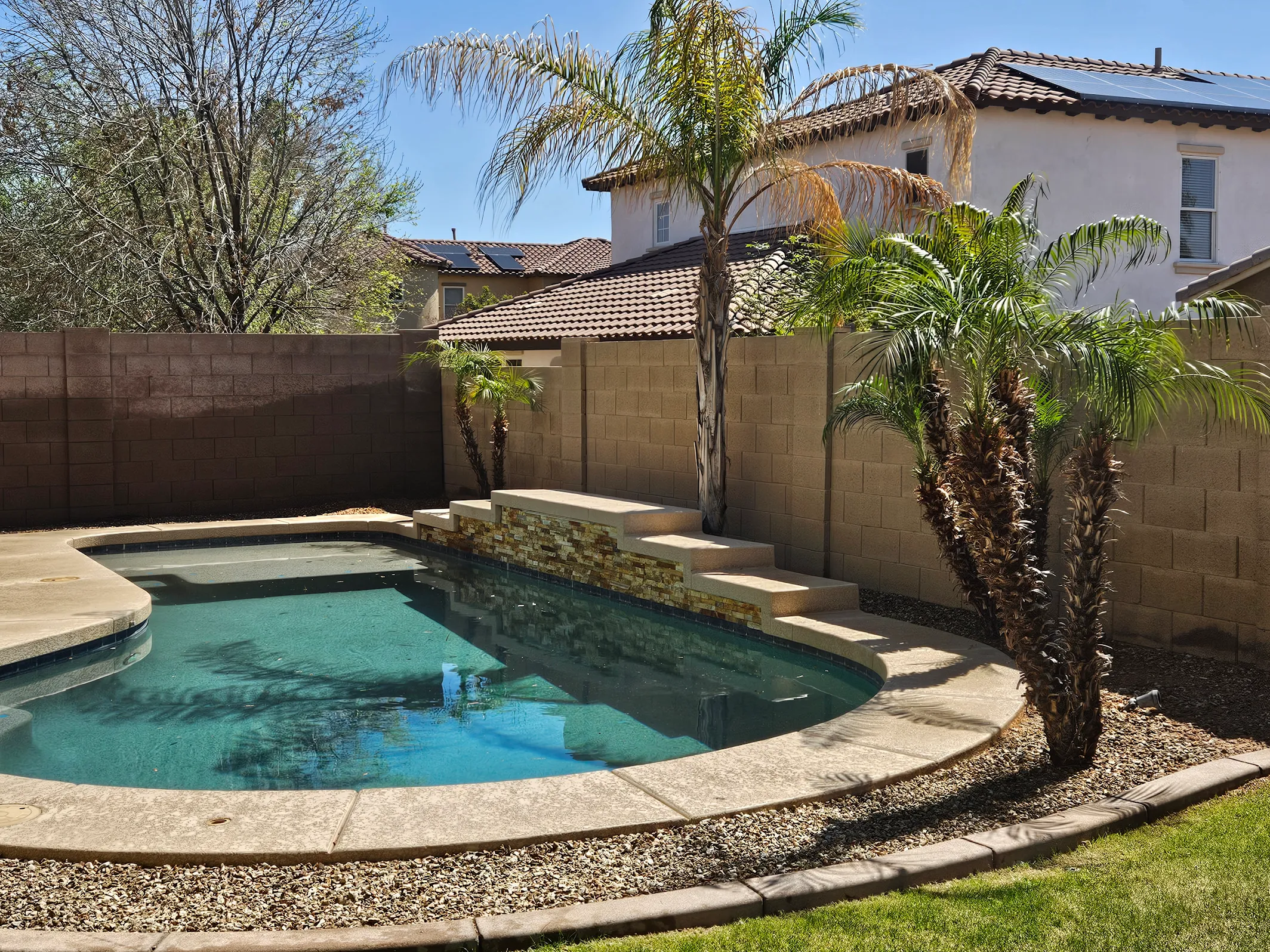 Exemplary result and clean up after a multiple palm removal job in Phoenix's East Valley