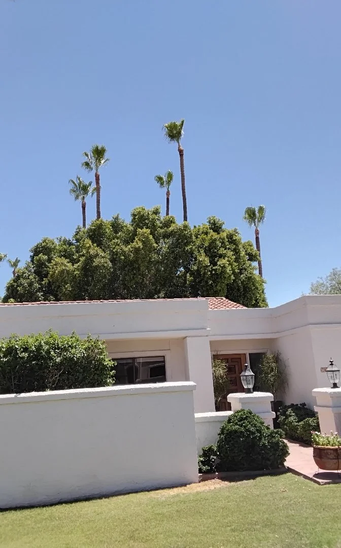 A styled white house with greenery and tall trees, including palm trees, in the background under a clear blue sky.