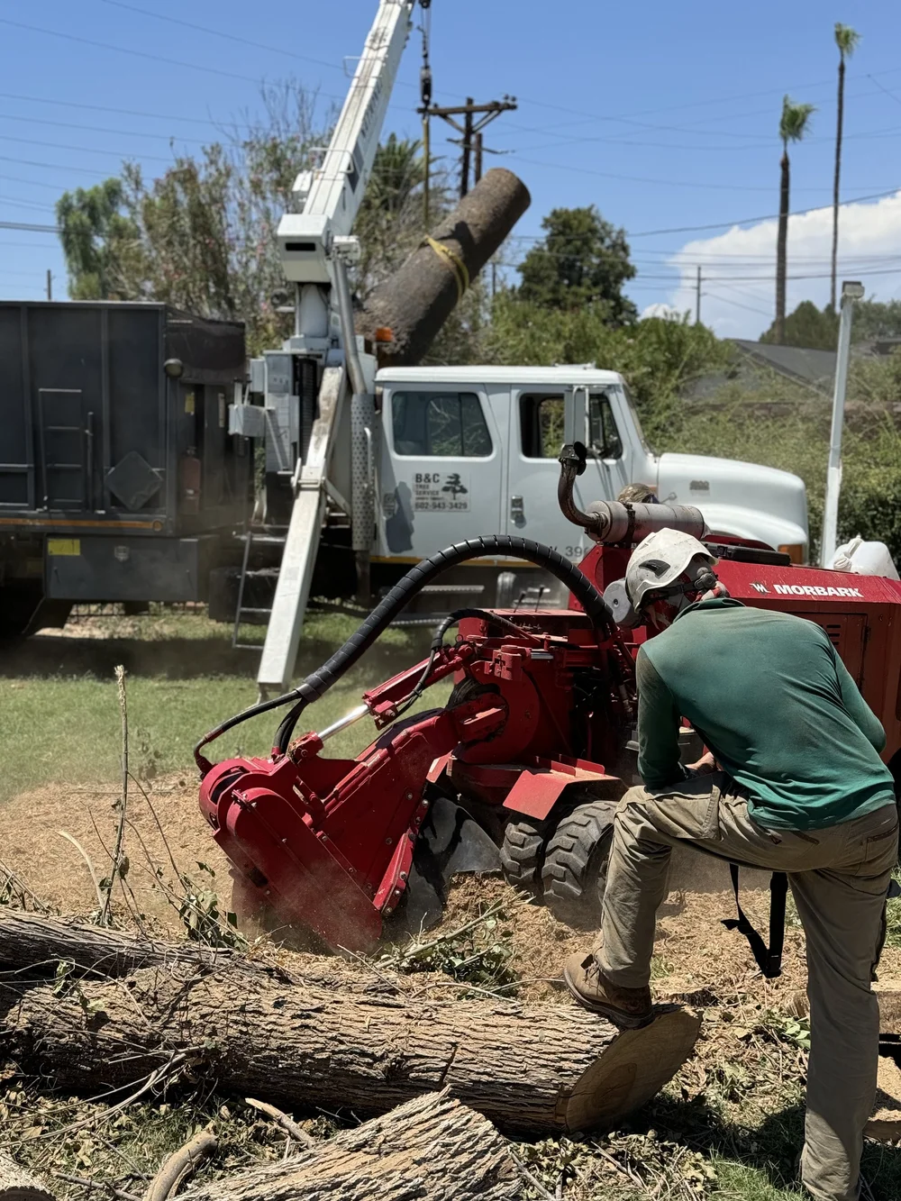 B&C crew member operating a red stump grinder with the full machine and active grinding area visible
