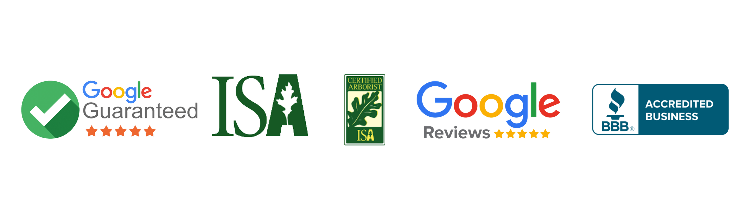 Mistletoe Disease in Trees: A Hidden Parasite — B & C Tree Service