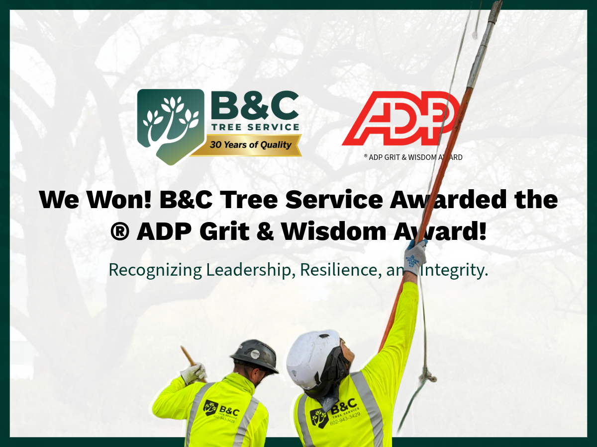 Phoenix Area Tree Care Pro Wins Nationwide 2026 ADP Award — B & C Tree ...