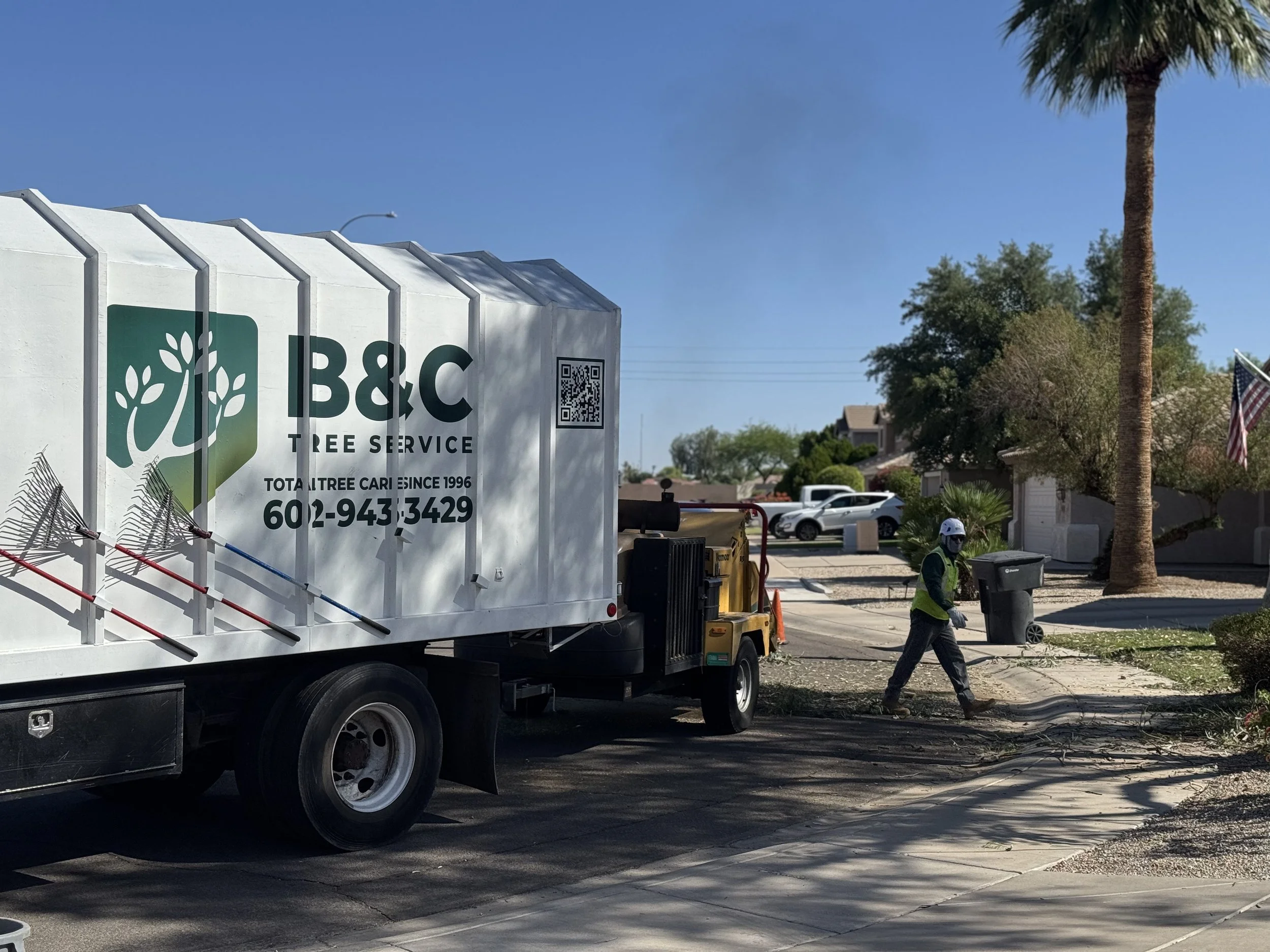 heavy equipment and industrial chipping equipment make for easy clean up after palm tree removals in Mesa