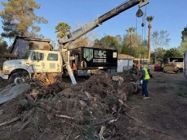 Groundsman raking up leaves