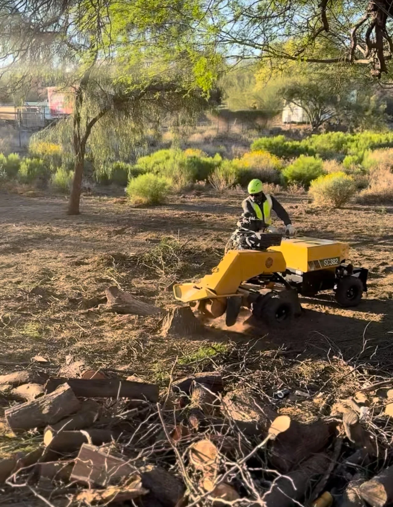 Stump grinder working to grind up a stump in the ground