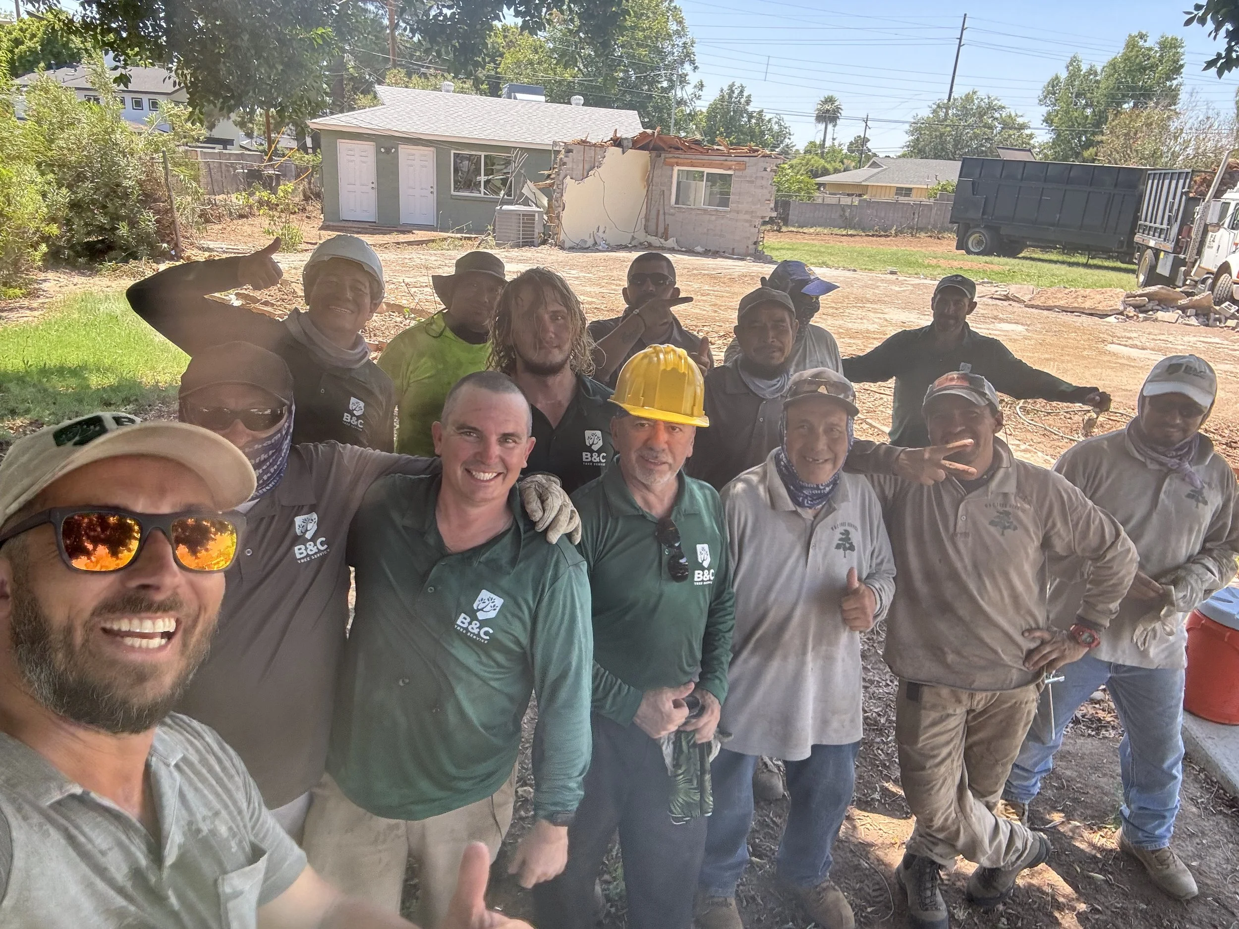 B&C Tree Services gallery 3