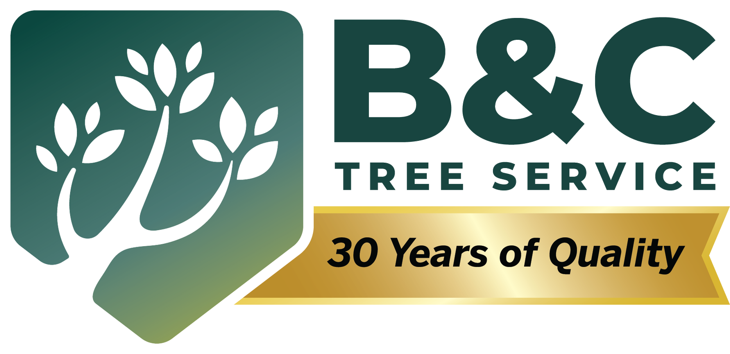 B &amp; C Tree Service