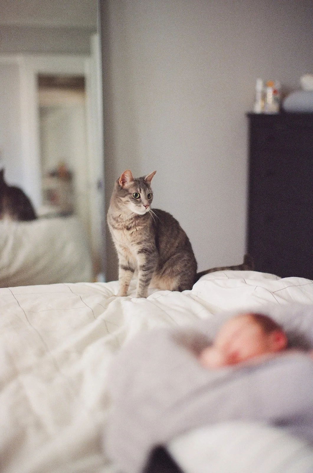 LindseyDenmanPhoto-Berkeley-California-in-home-newborn-family-film-250603-0001.jpg