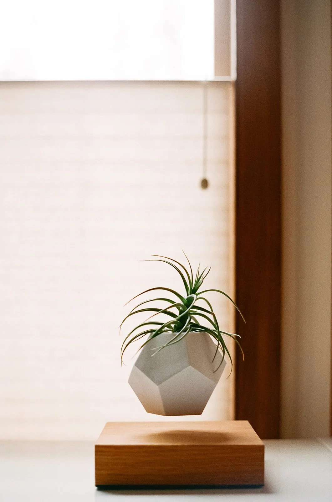 LindseyDenmanPhotography.1702100007_websize.jpg