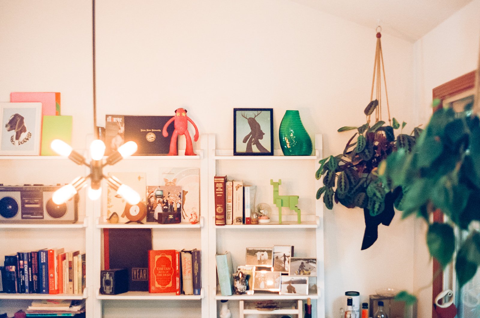 LindseyDenmanPhotography.1702100005_websize.jpg