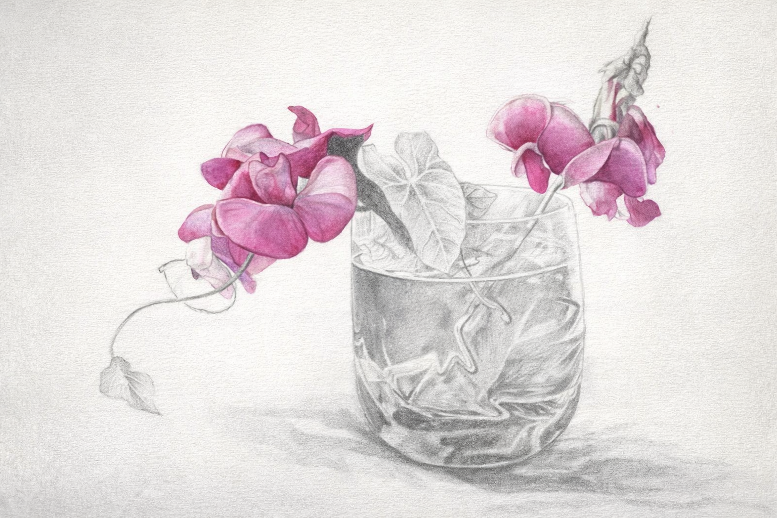 Introduction to Drawing and Mixed Media with Joanne Bingham 
