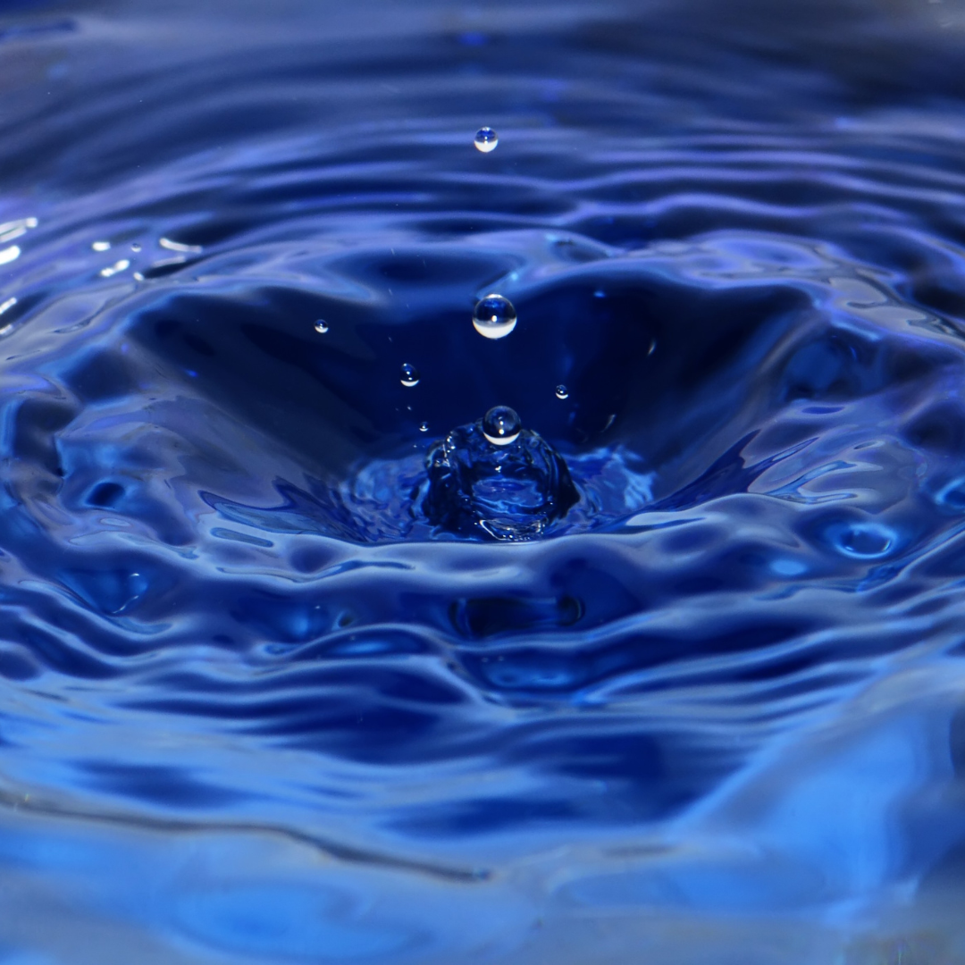 What is the Nervous System and Why it's Important