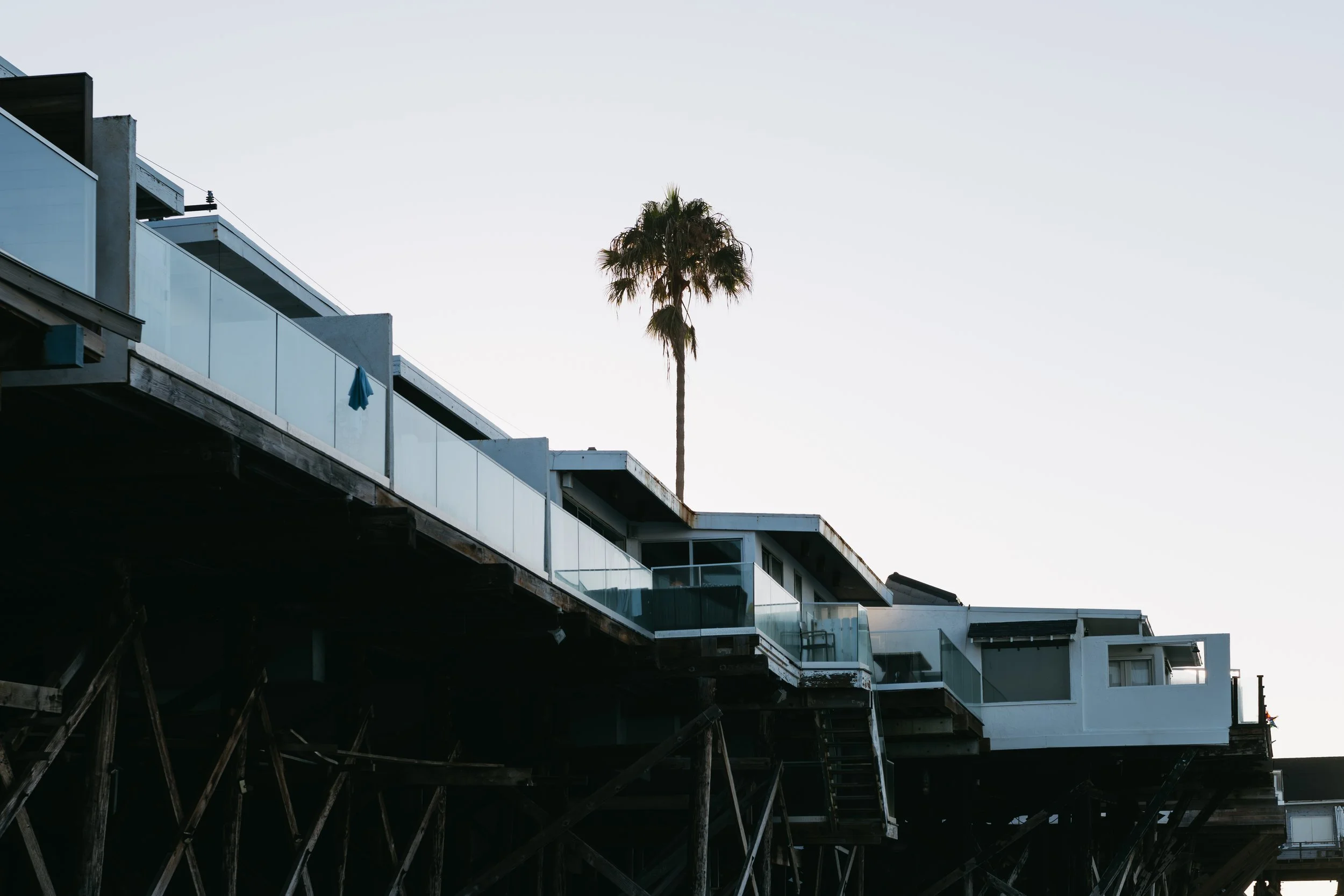 Malibu beachfront houses on stilts with glass balconies and a tall palm tree against a clear sky. Photo by Brock Byers 