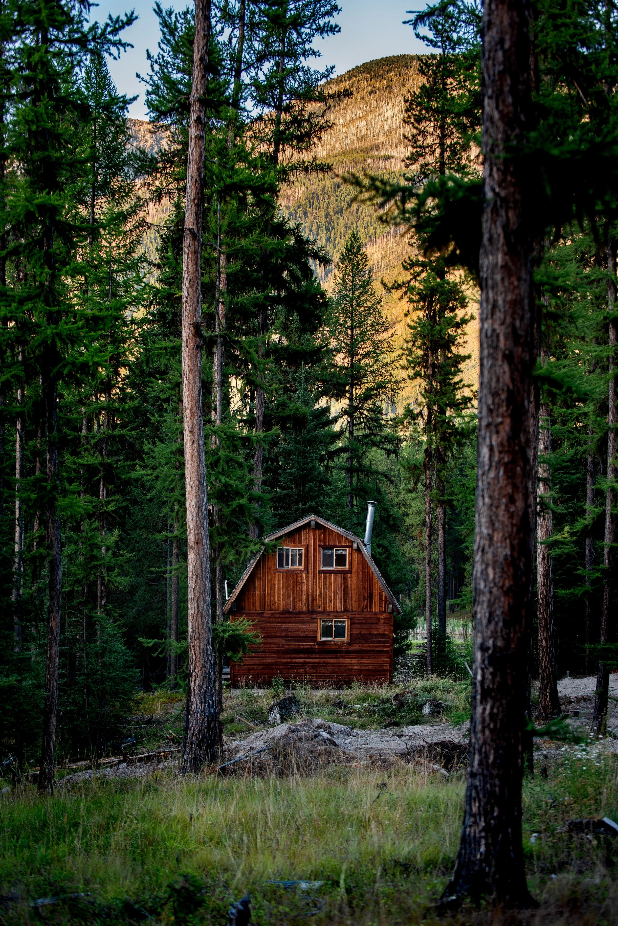 A small wooden cabin surrounded by tall pine trees in a forest, with mountains in the background. Photo by Brock Byers 