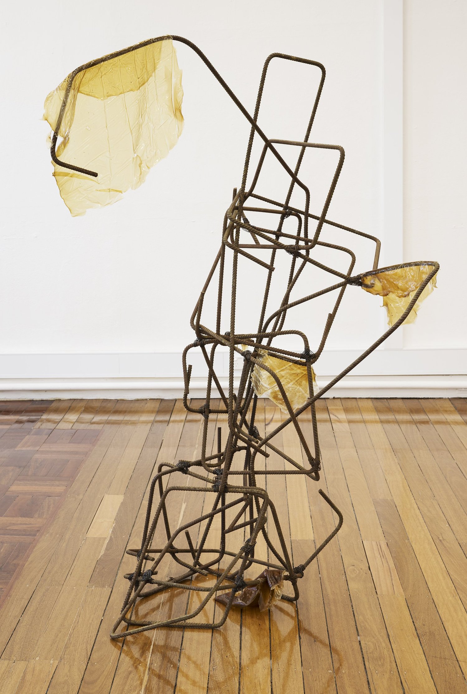 Lisa Stevenson — ANU School of Art & Design Graduating Exhibition 2024