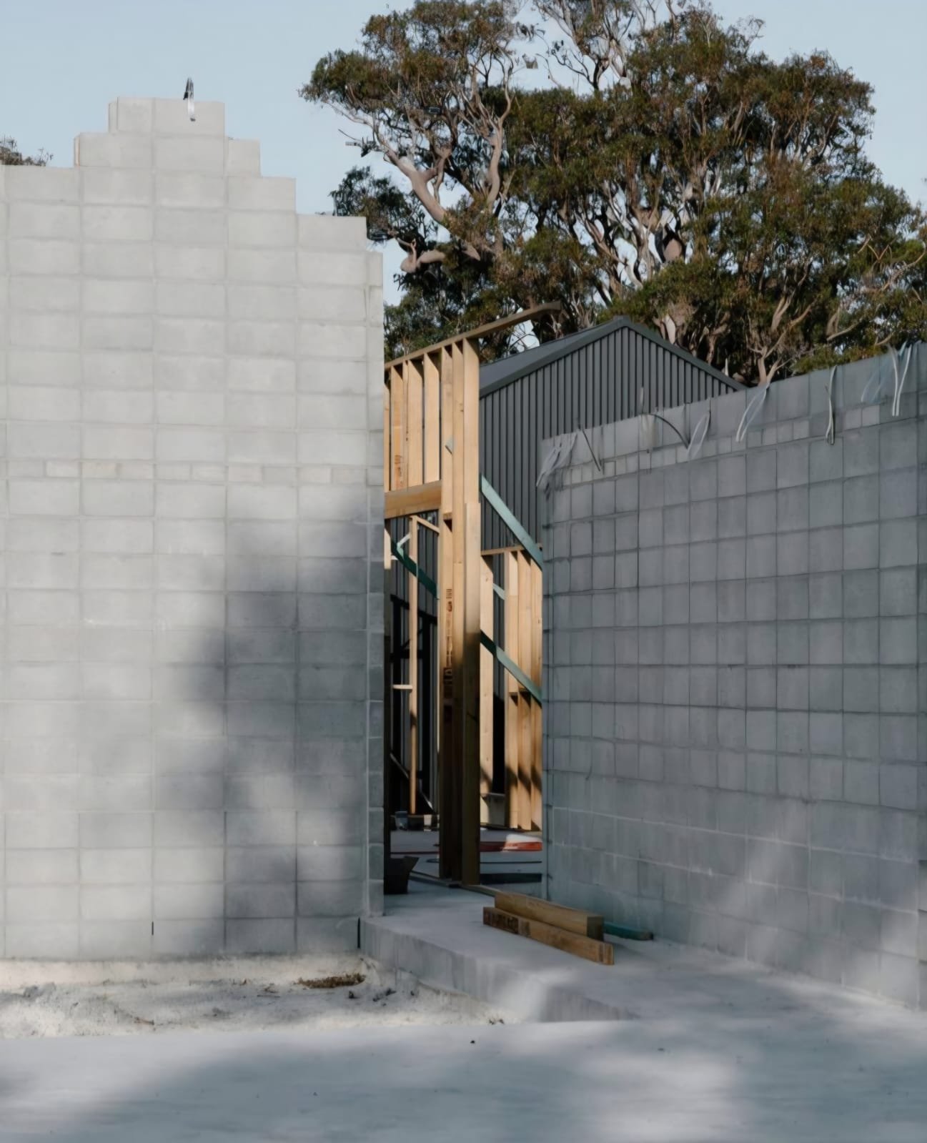 WhatsApp Image 2025-11-03 at 12.54.10_8b1c4ead.jpg