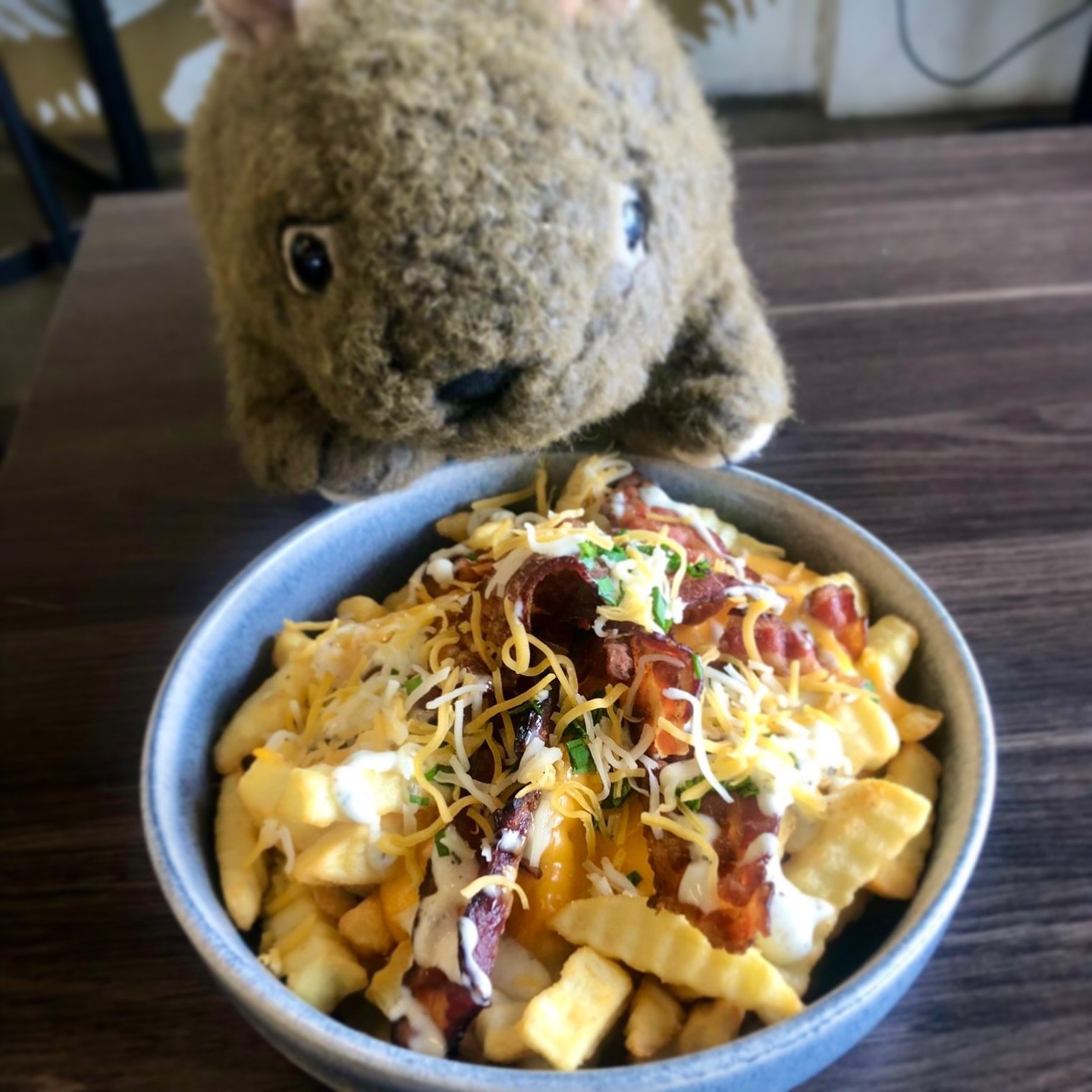 Loaded Mega Fries 🤤🍟

🍟 Crinkle cut thick chips piled high&hellip; 
🧀 Smothered in our in-house blended liquid cheese sauce&hellip;
🥓 Topped with crispy streaky bacon and a generous drizzle of ranch sauce&hellip;

Finished with blended grated ch
