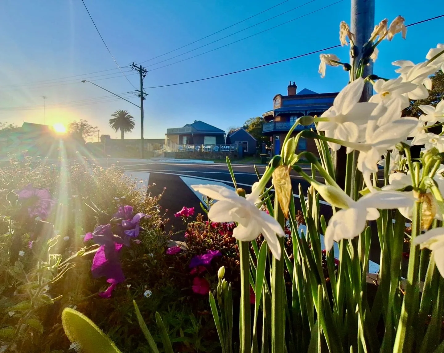 There&rsquo;s something special about early mornings in Marulan 🌅 the way the soft sunlight catches the flowers as the township leisurely wakes. A gentle reminder to slow down, breathe it in, and appreciate the little moments in our beautiful town.
