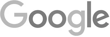 Google logo in gray.