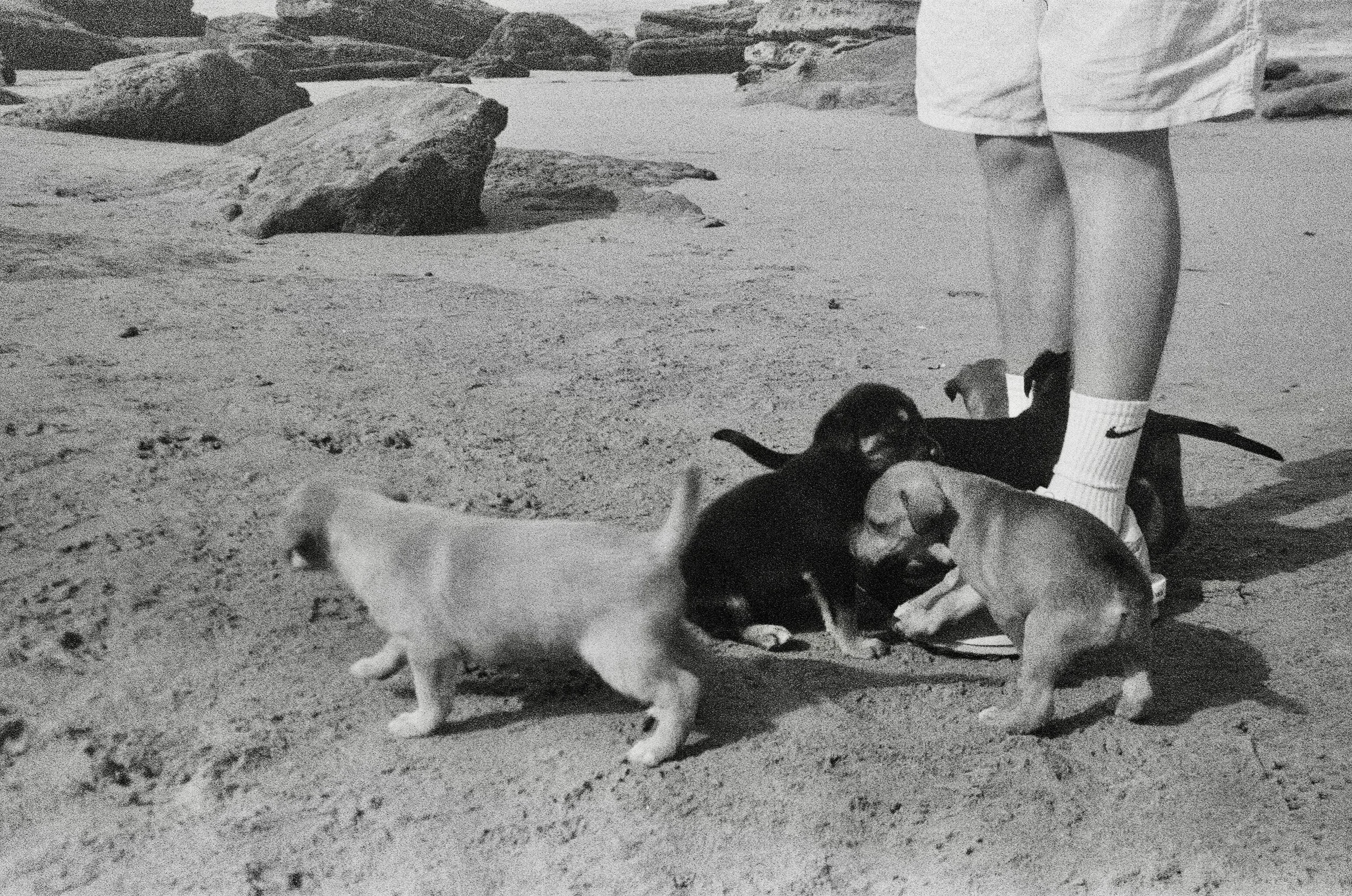 FullSizeRender_VSCO 4.JPG