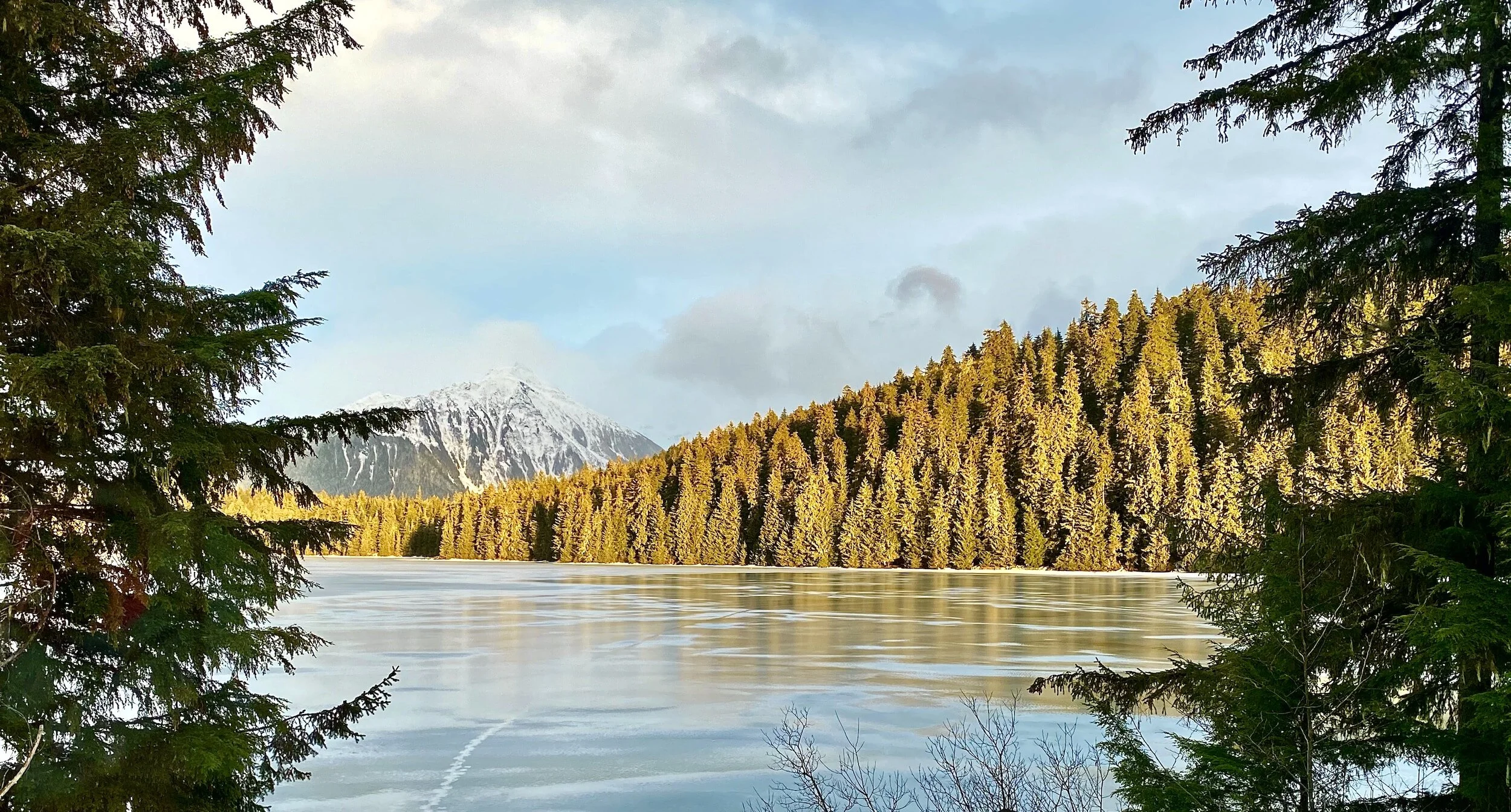 Denali visual data 3