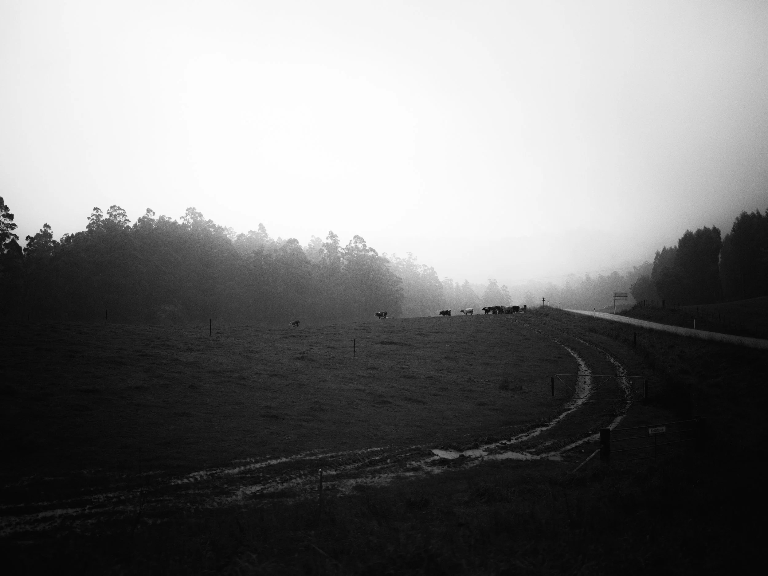 TASMANIA-46.jpg