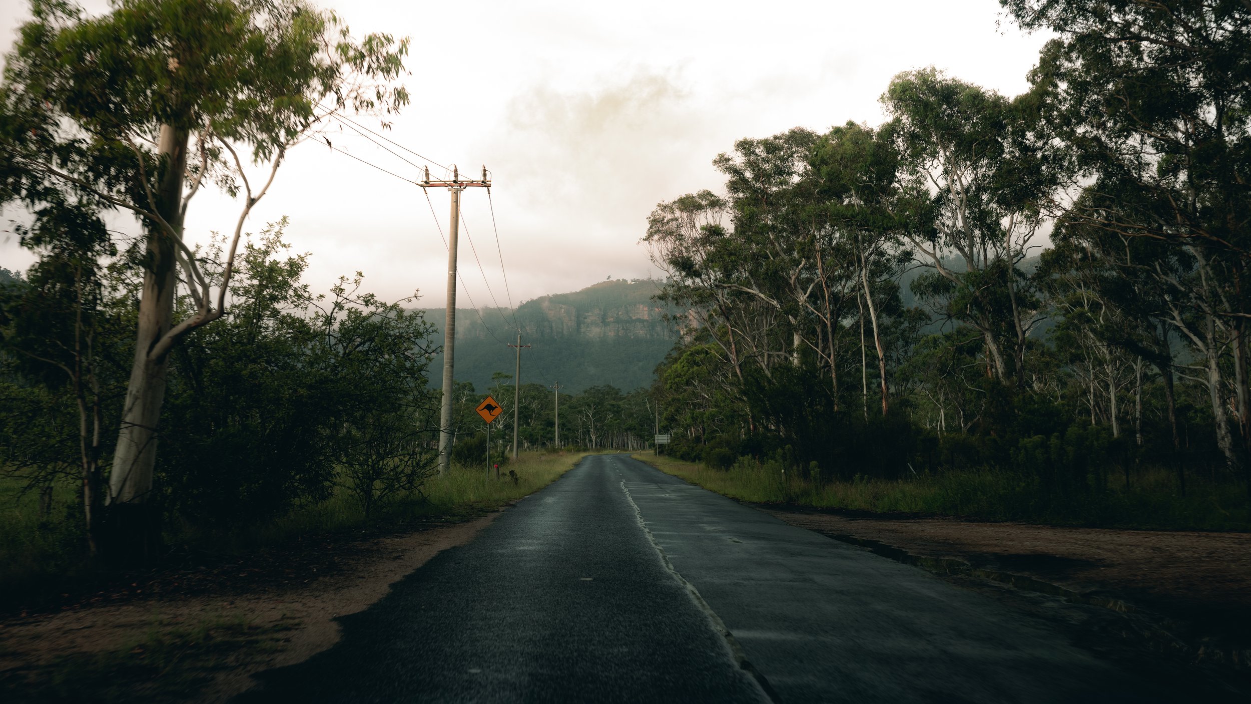 BLUEMOUNTAINS-59.jpg