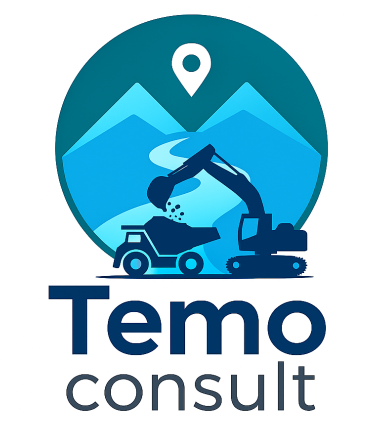 TEMO CONSULT