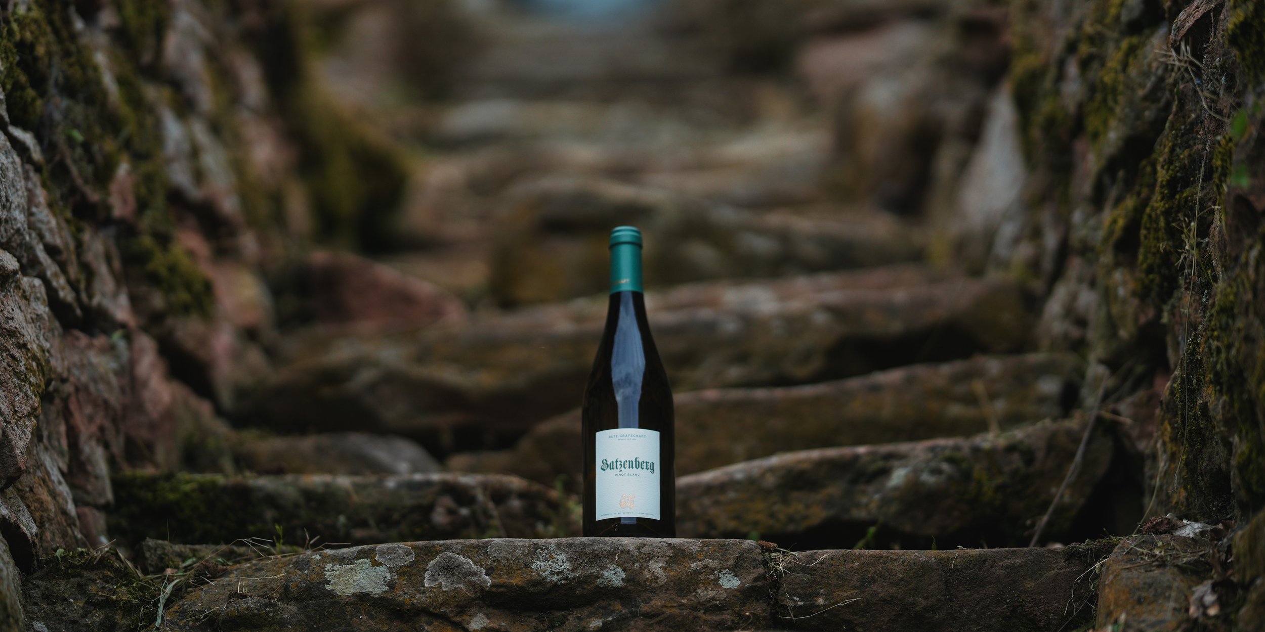 Eine Flasche Wein auf einer alten, mossbedeckten Steinmauer in einer naturnahen Umgebung.