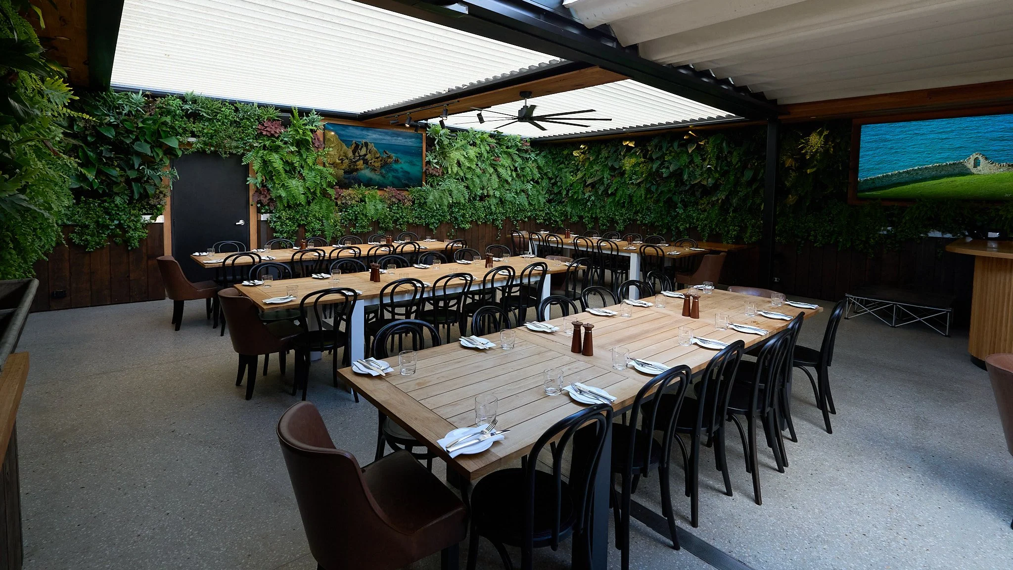 crickerters_webuse 15.jpg