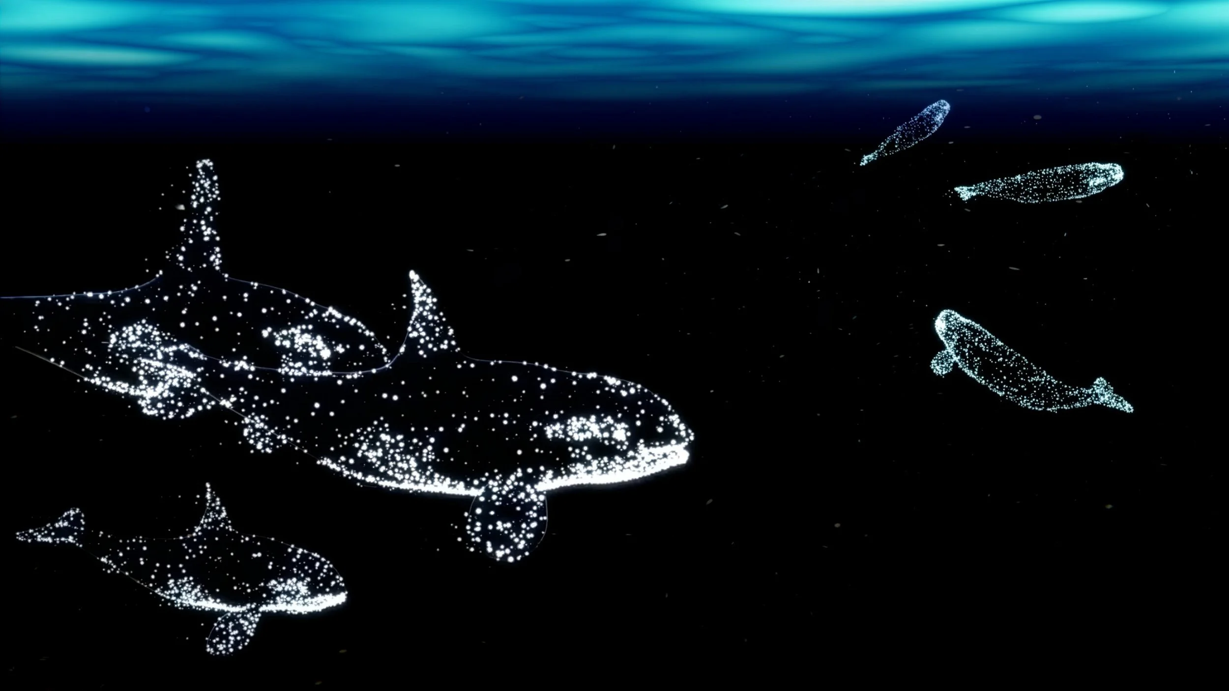 3D-animierte Orcas und Belugas treffen während der Show auf eindrückliche Art aufeinander