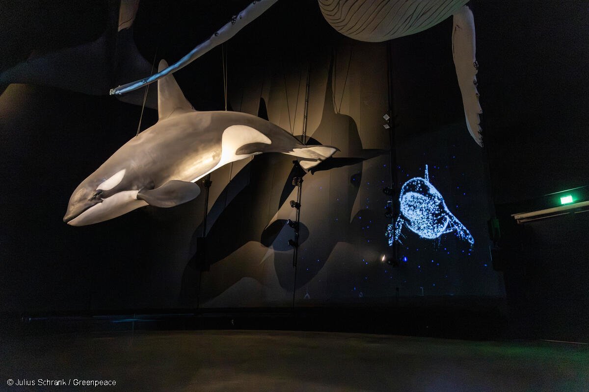 In der immersiven Show treffen beleuchtete, lebensgroße Walexponate auf ihre 3D-animierten Counterparts
