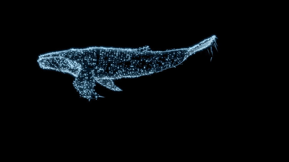 Unverkennbare VfX-Effekte verleihen den 3D-Animationen besonderen Glanz