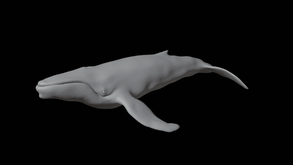 3D Modelle wurden aufwändig mit lebensechten Bewegungen animiert