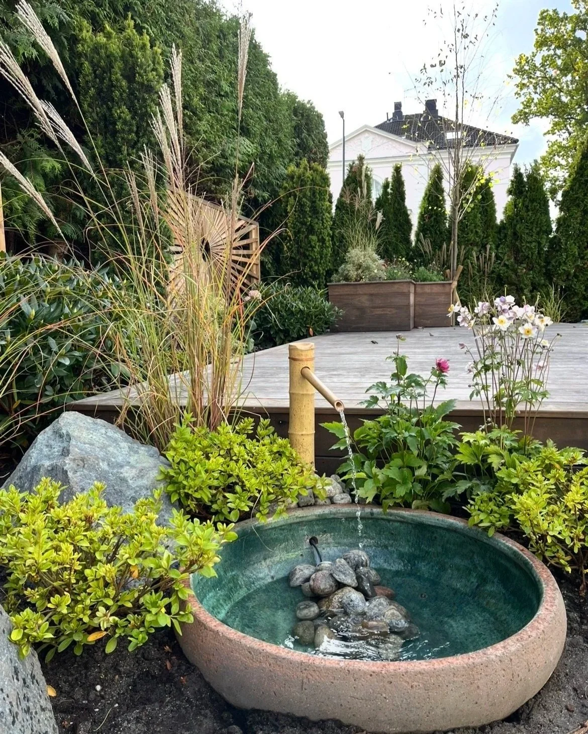 A garden with a stone water basin, surrounded by various green plants and flowers, with a wooden deck and tall trees in the background.